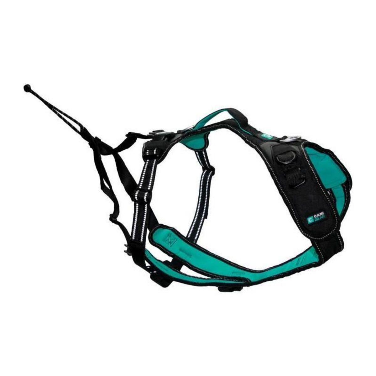 Harnais pour chien - SYMBIOZ - S - Noir / Bleu