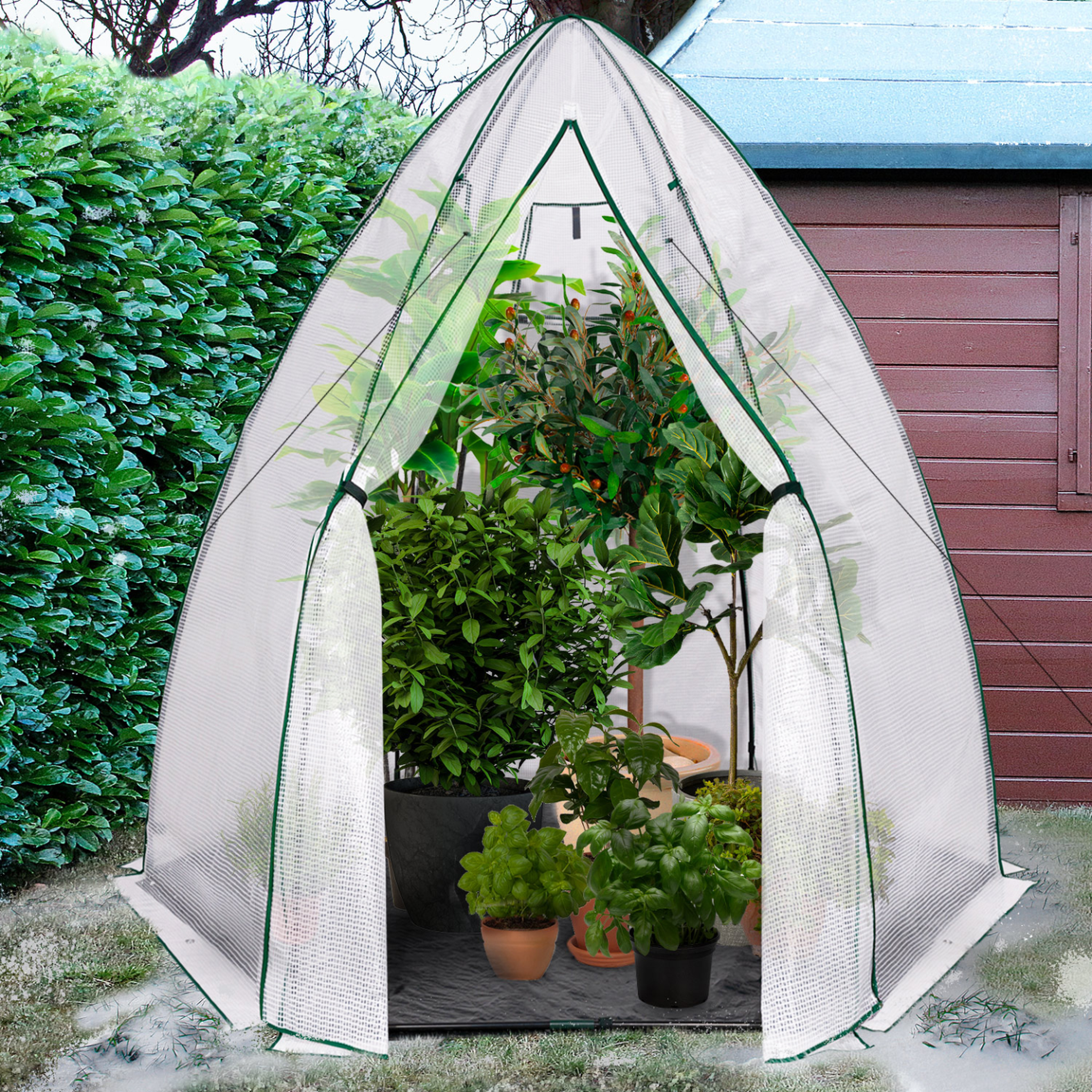 Voir la diapositive 2 : ID MARKET Serre d'hivernage dôme maxi format 250 x 250 x 200 cm balcon et terrasse