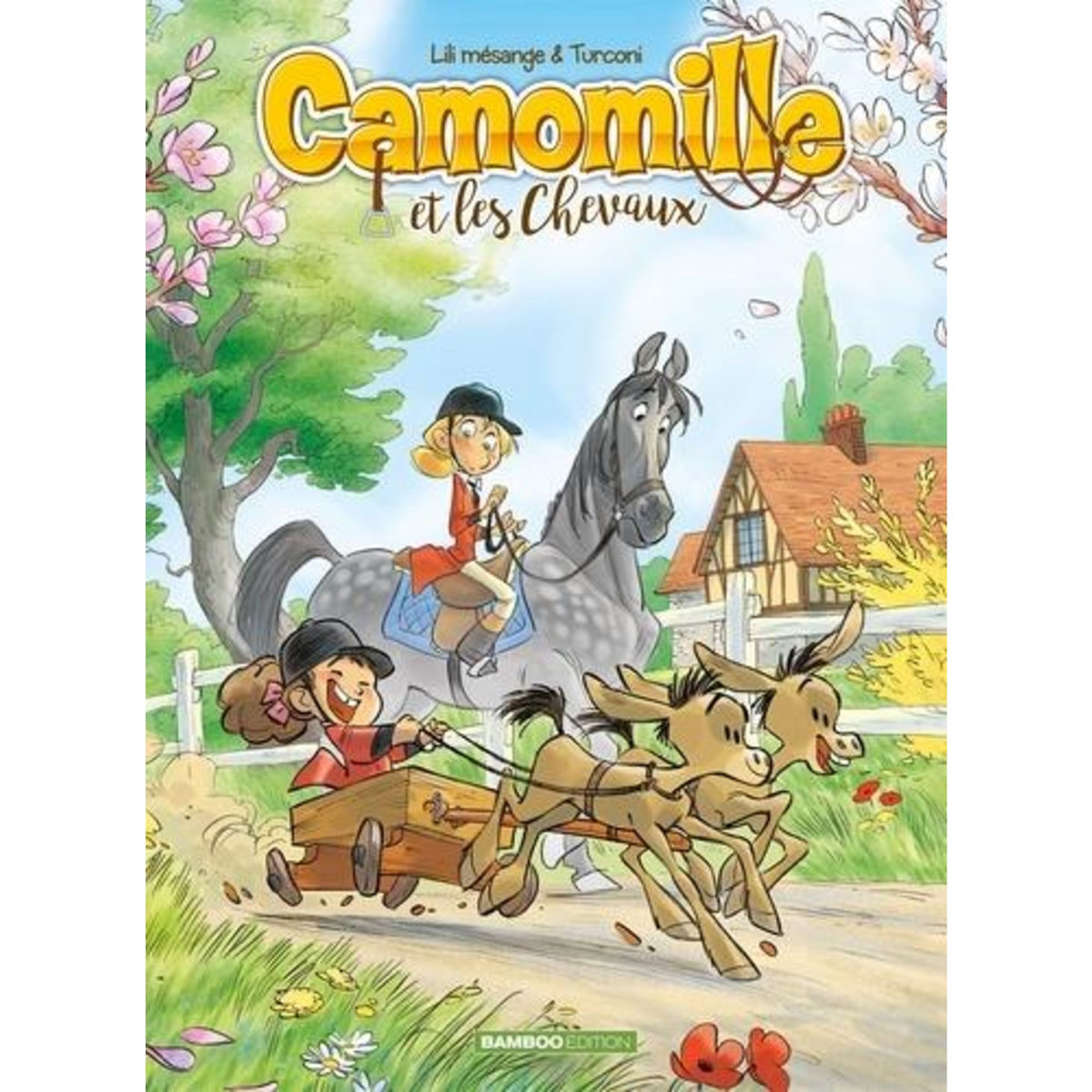 CAMOMILLE ET LES CHEVAUX TOME 2 : SACRE POMPON, Mésange Lili