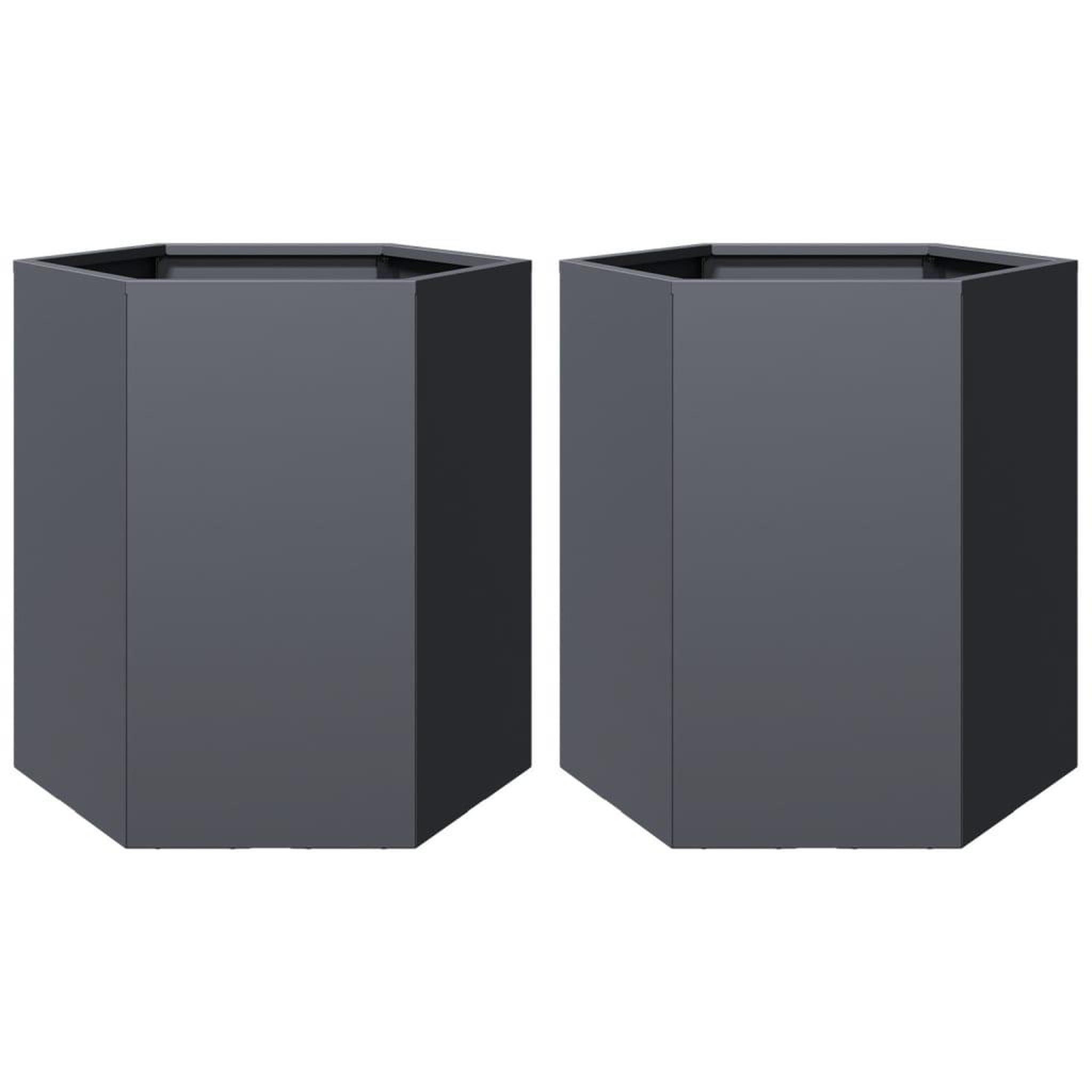 Voir la diapositive 2 : VIDAXL Jardinieres 2 pcs anthracite hexagone 46x40x45 cm acier