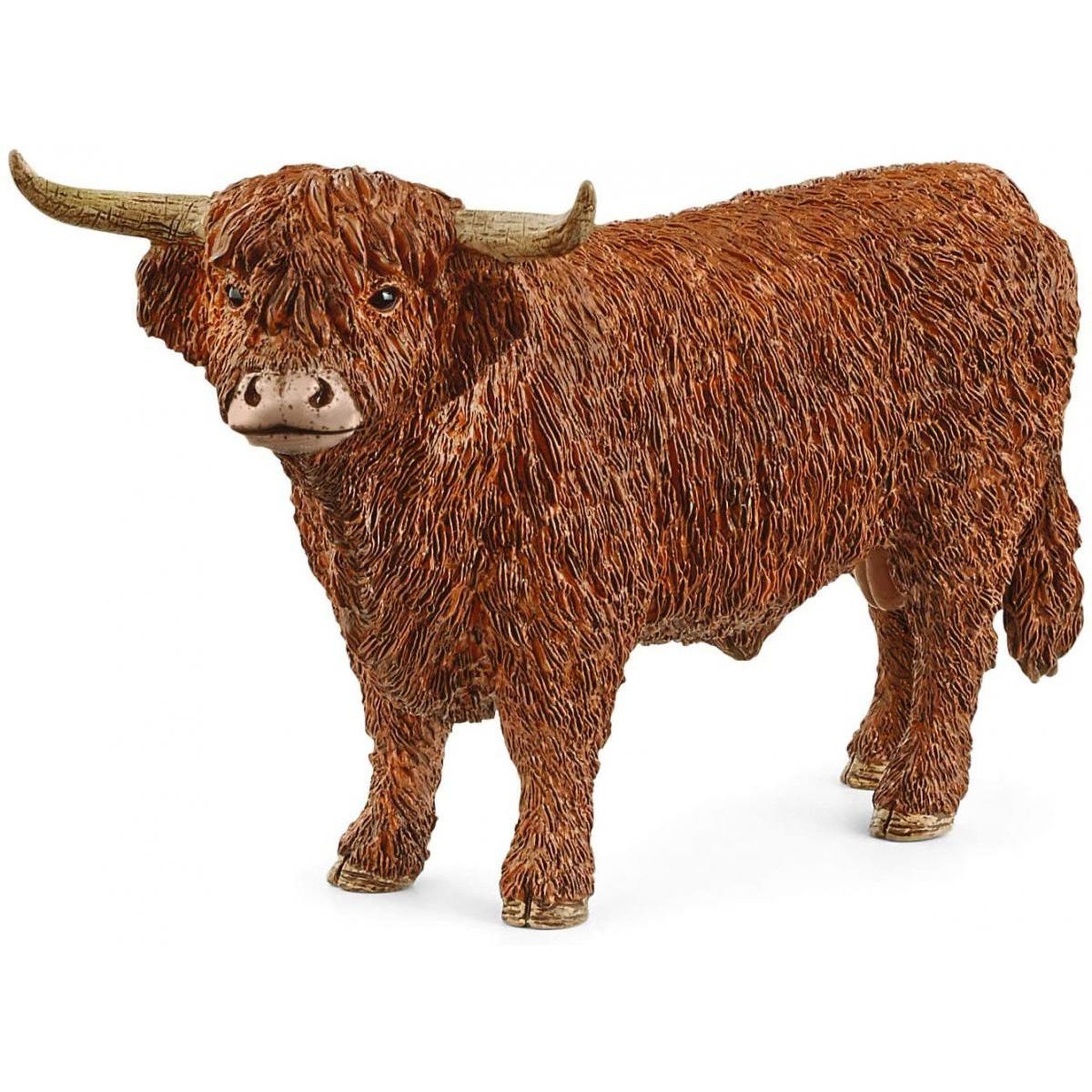 Schleich 13919 Taureau Highland