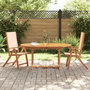 Voir la diapositive 1 : VIDAXL Chaises pliables de jardin lot de 2 bois d'acacia et textilene