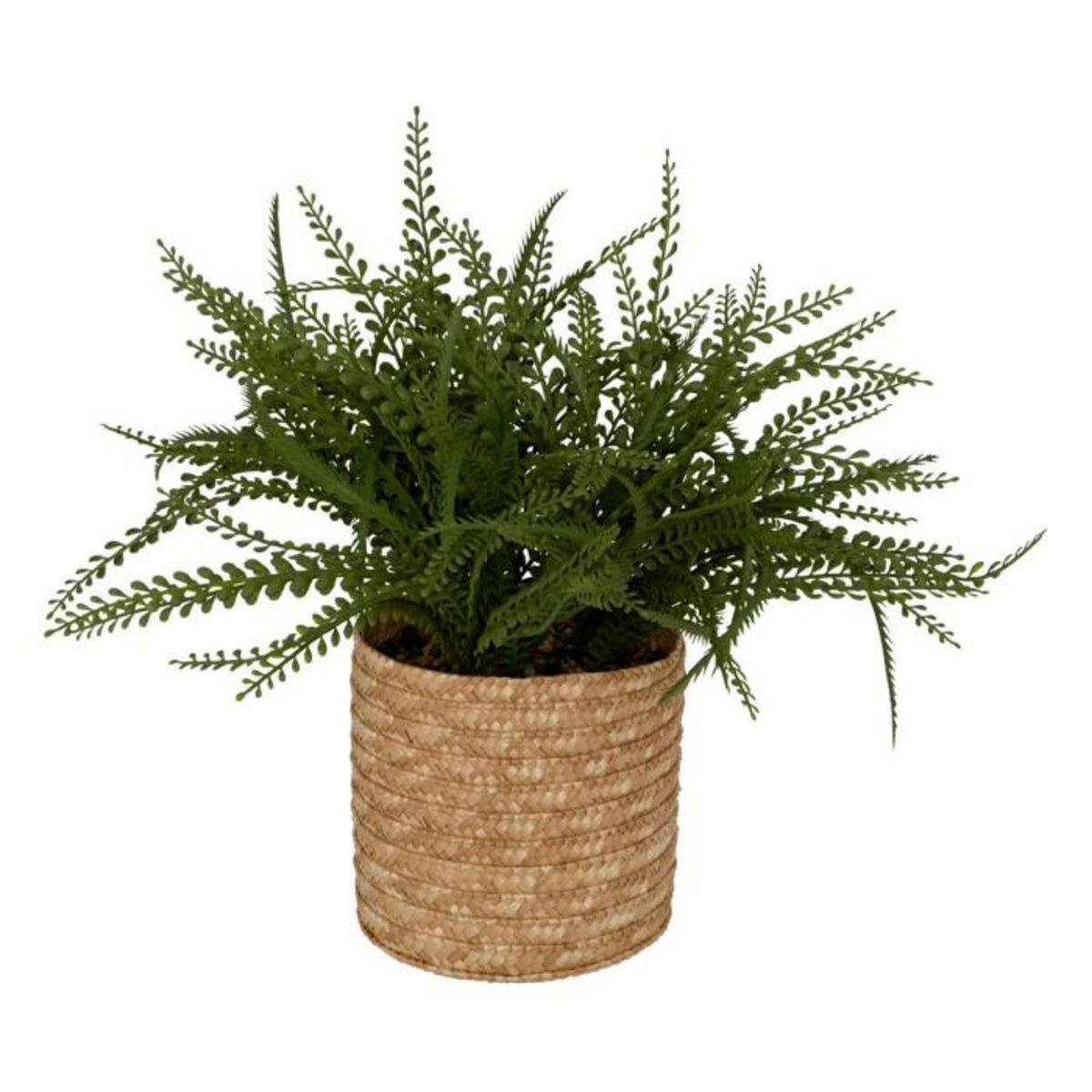 ATMOSPHERA Fougère Artificielle en Pot  Clemy  30cm Vert