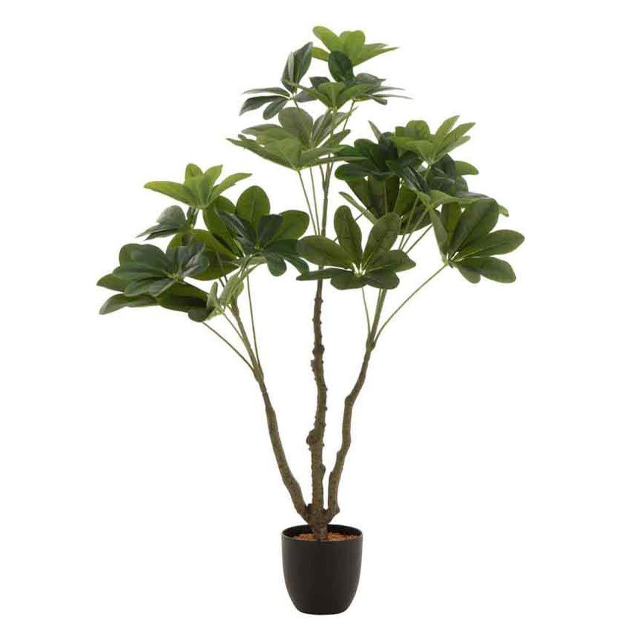 J-LINE Plante artificielle en pot  pachira  110cm vert