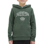 Jack & Jones Sweat Vert Garçon Jack & Jones Ari. Coloris disponibles : Vert