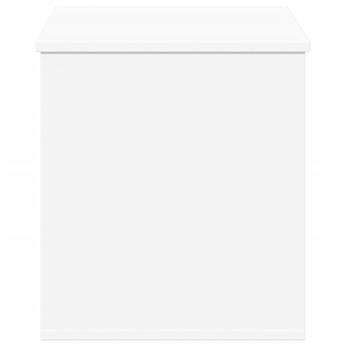 VIDAXL Boîte de rangement blanc 100x42x46 cm bois d'ingenierie