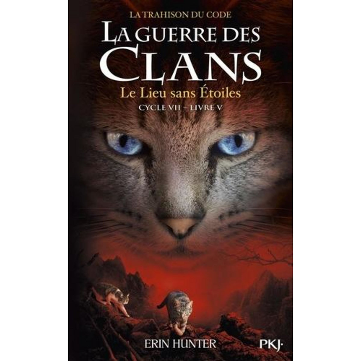 LA GUERRE DES CLANS : LA TRAHISON DU CODE (CYCLE VII) TOME 5 : LE LIEU SANS ETOILES, Hunter Erin