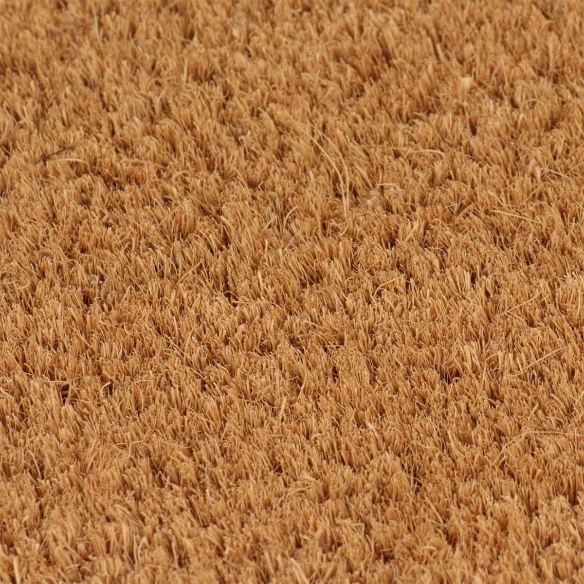 VIDAXL Tapis de porte naturel 50x80 cm fibre de coco touffete