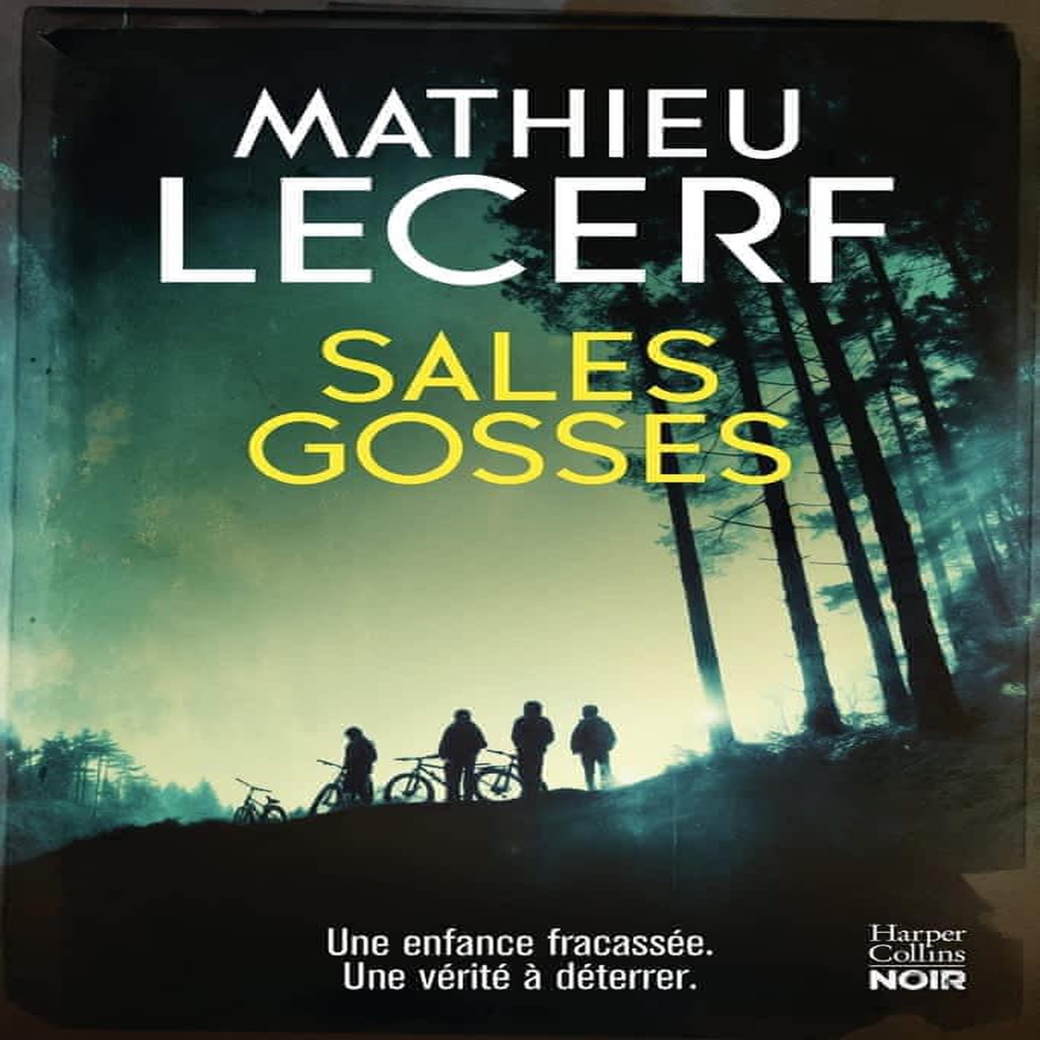 SALES GOSSES, Lecerf Mathieu