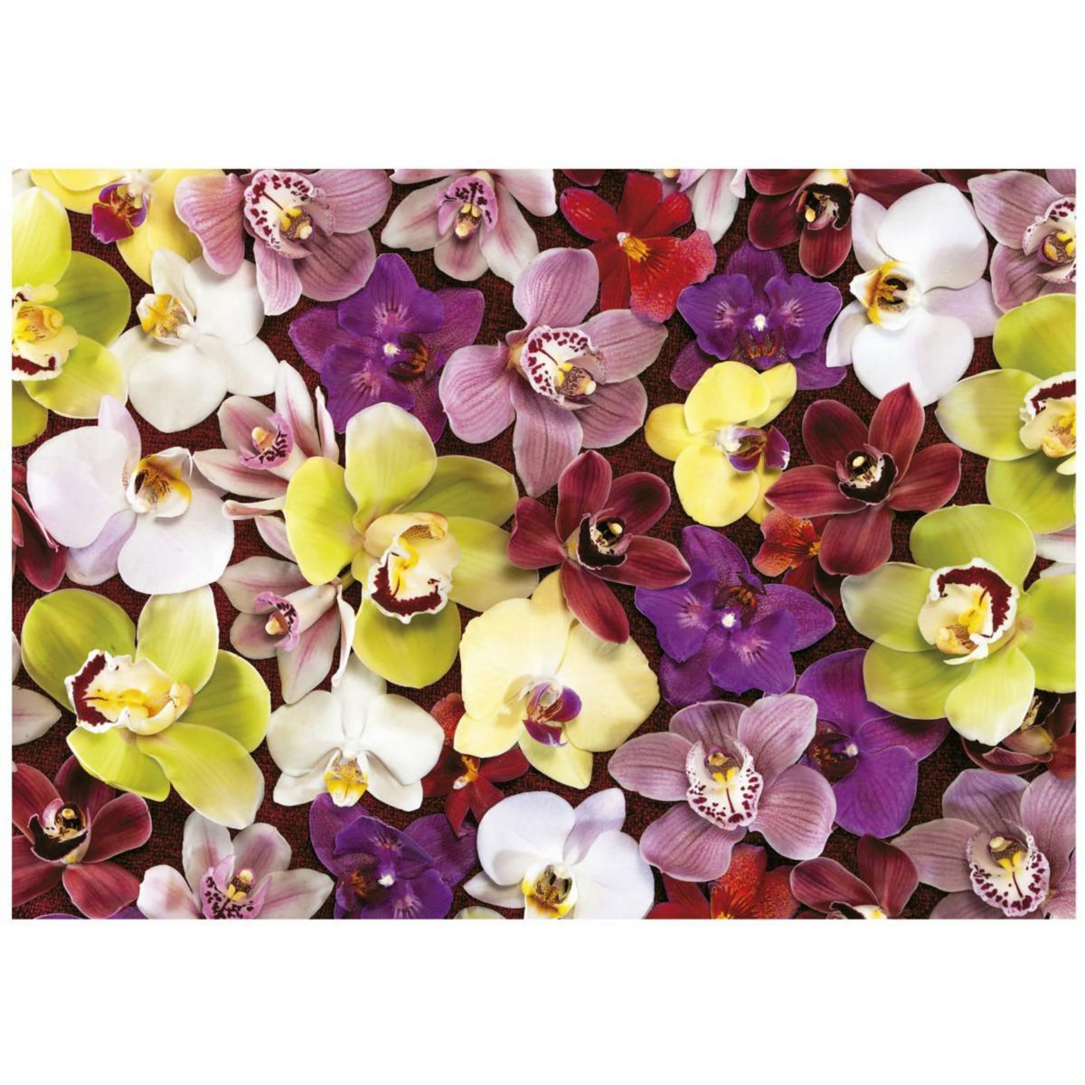 EDUCA COLLAGE ORCHIDÉES - Puzzle de 1000 pieces