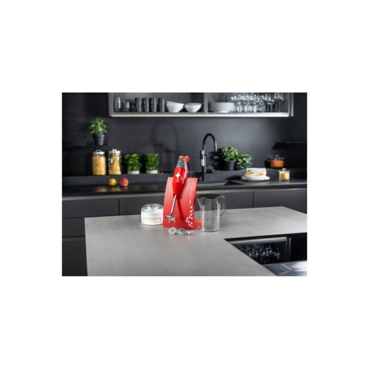 BAMIX Batteur Bamix MX1000007 SwissLine 200W rouge