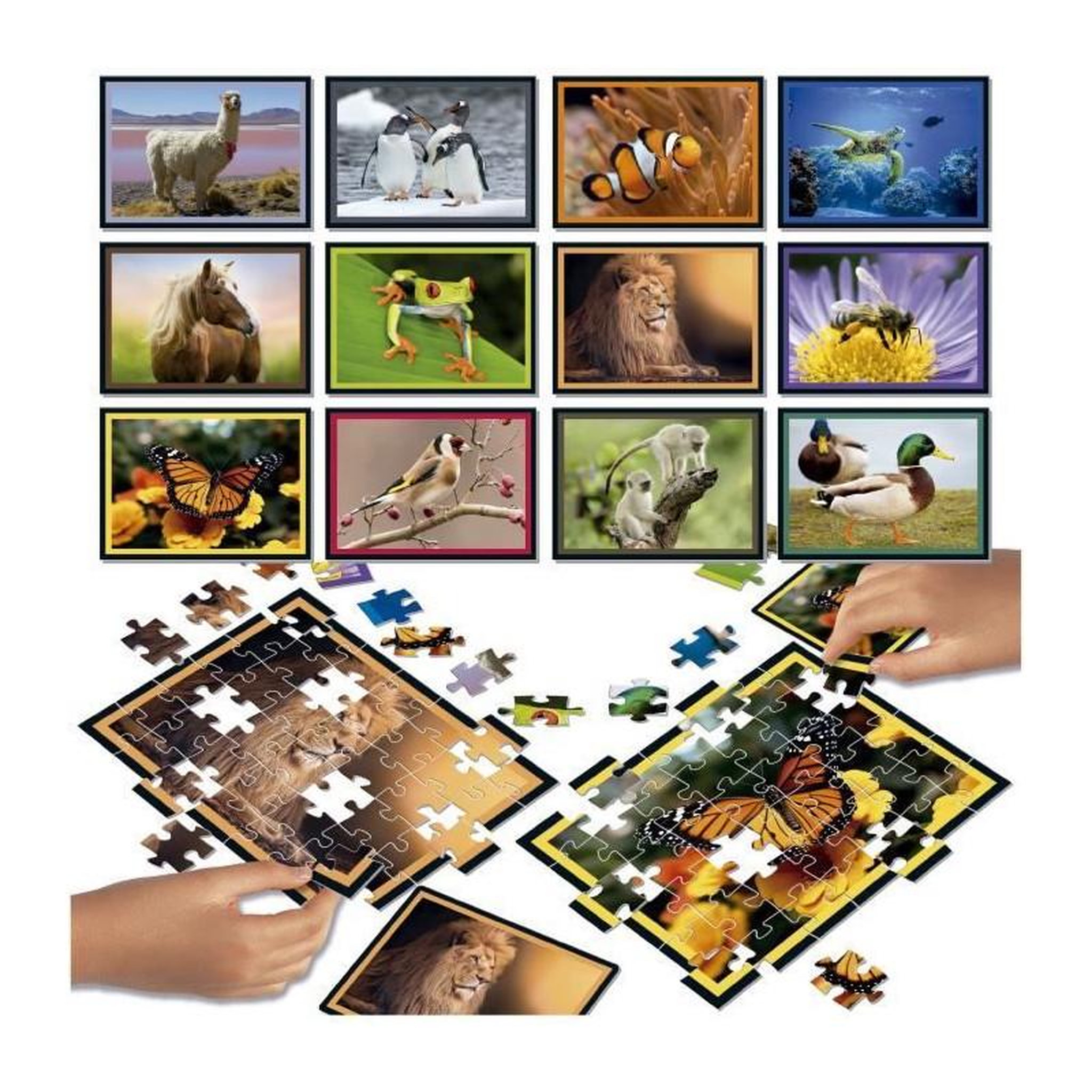 Voir la diapositive 2 : EDUCA Puzzle enfant Battle Jr Natura – Coffret 12 puzzles de 42 pièces – Univers nature – Jeu éducatif – Dès 7 ans – Educa