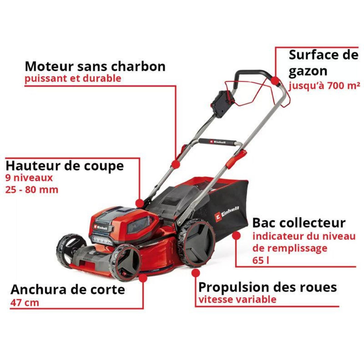 Einhell Tondeuse à gazon sans fil GP-CM 36/47 S Li BL (4x4,0Ah)