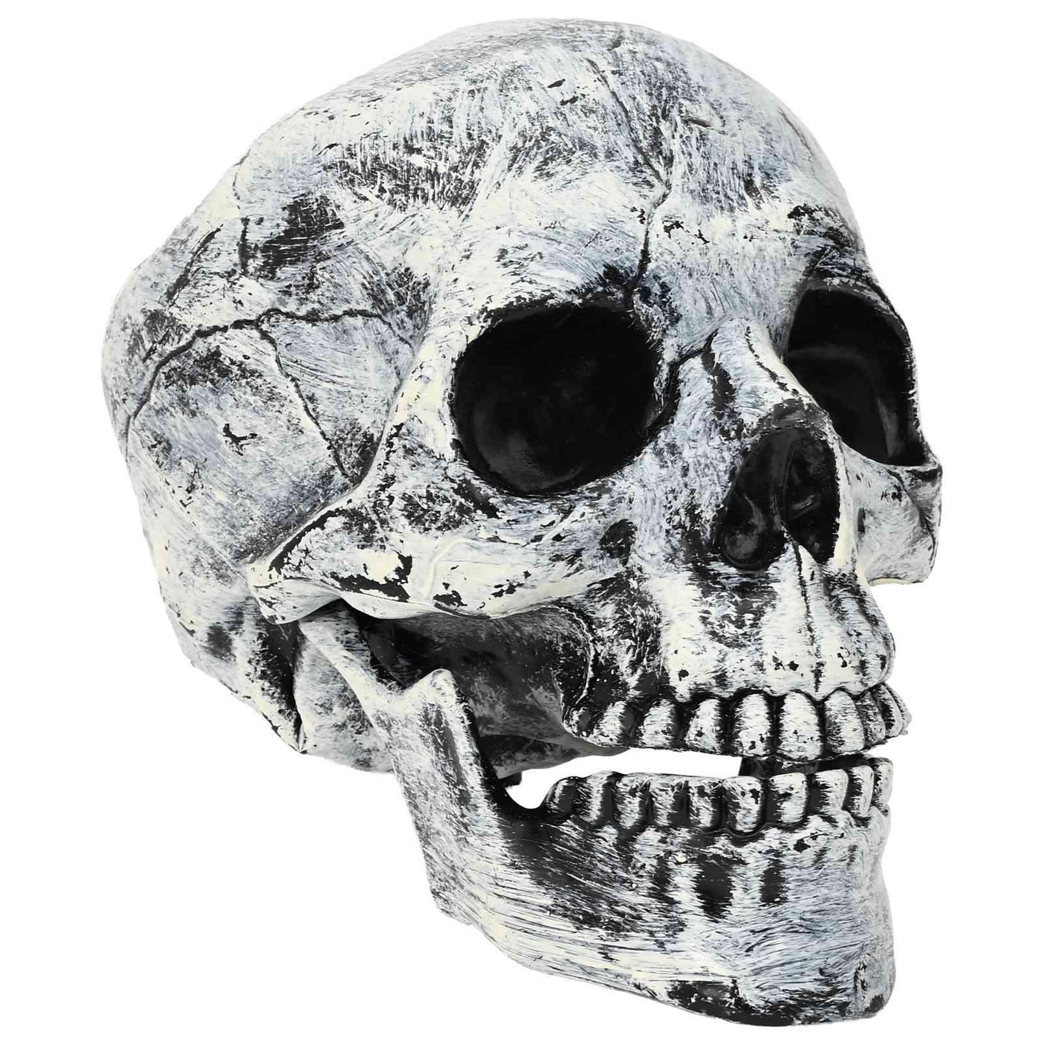 VIDAXL Crane de Halloween SPOOKA 2 pc Blanc 12 x 15 x 17,5 cm