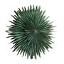 Voir la diapositive 1 : Paris Prix Lampe Suspension Design  Selen  60cm Vert