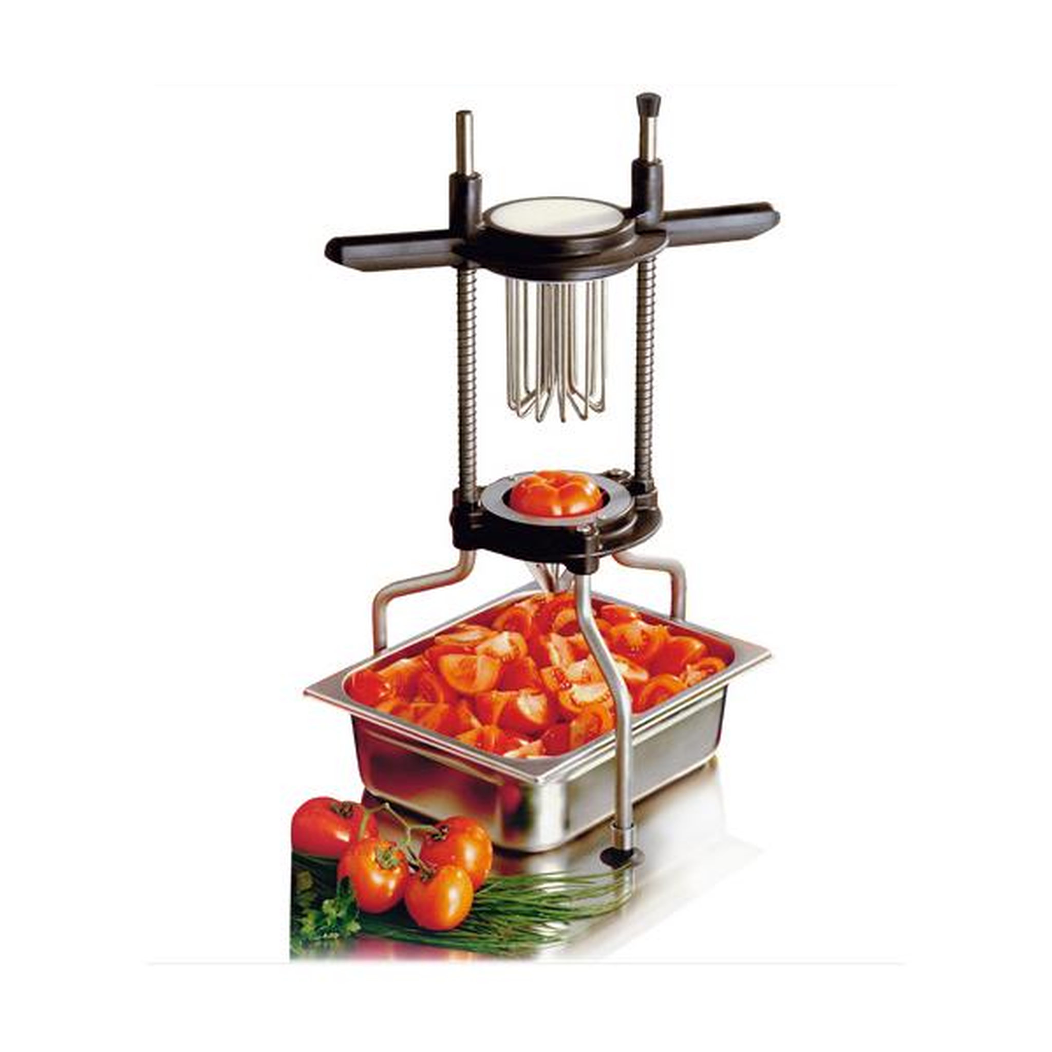BRON COUCKE Diviseur inox 12 quartiers - DIV12