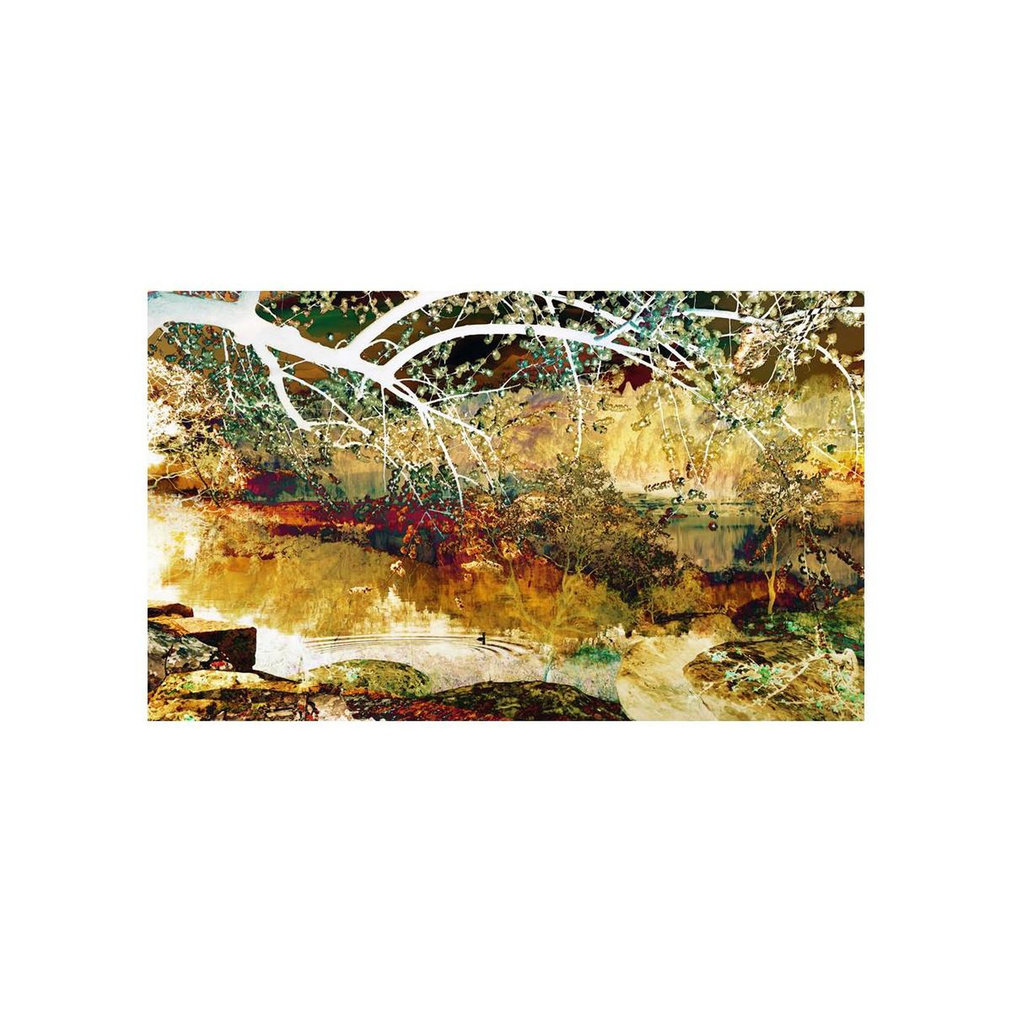 Voir la diapositive 2 : Paris Prix Papier peint  river of life ii  270x450cm