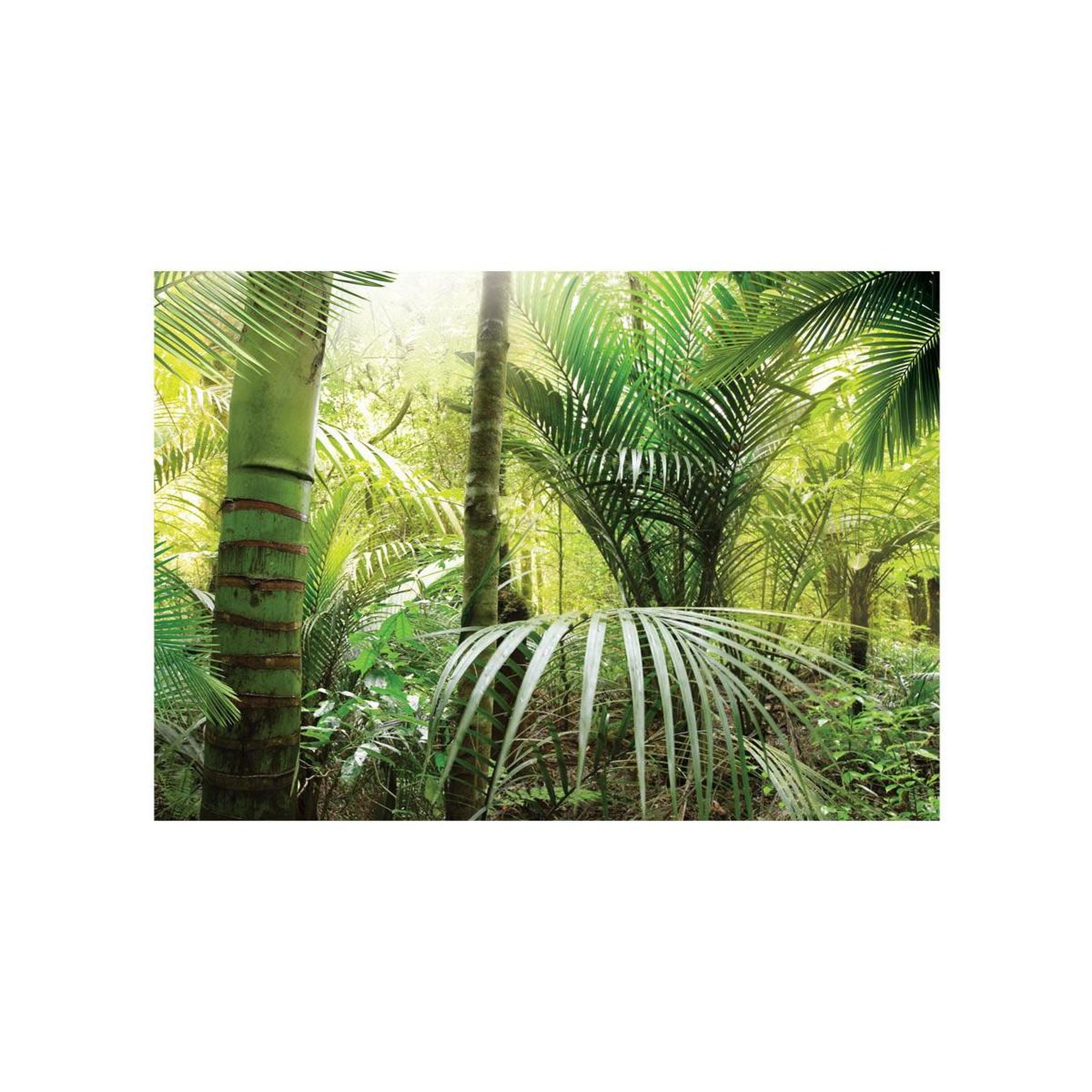 Voir la diapositive 2 : Paris Prix Papier Peint  Green Alley