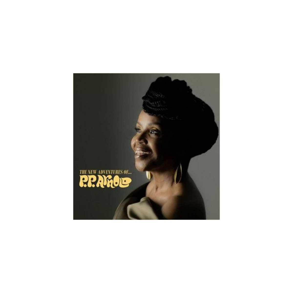 The New Adventures Of...