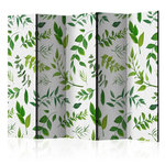 Paris Prix Paravent 5 Volets  Green Twigs  172x225cm