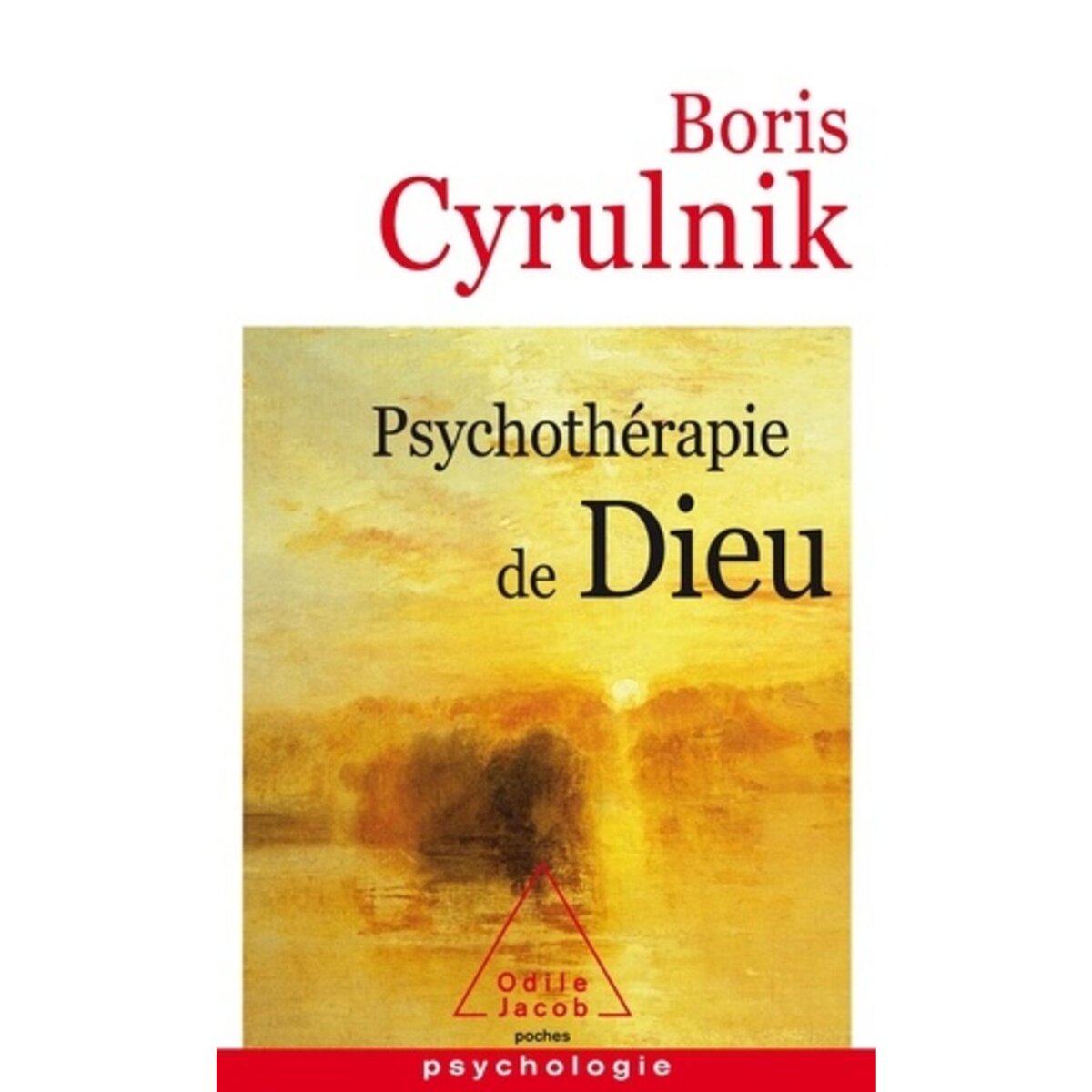  PSYCHOTHERAPIE DE DIEU, Cyrulnik Boris