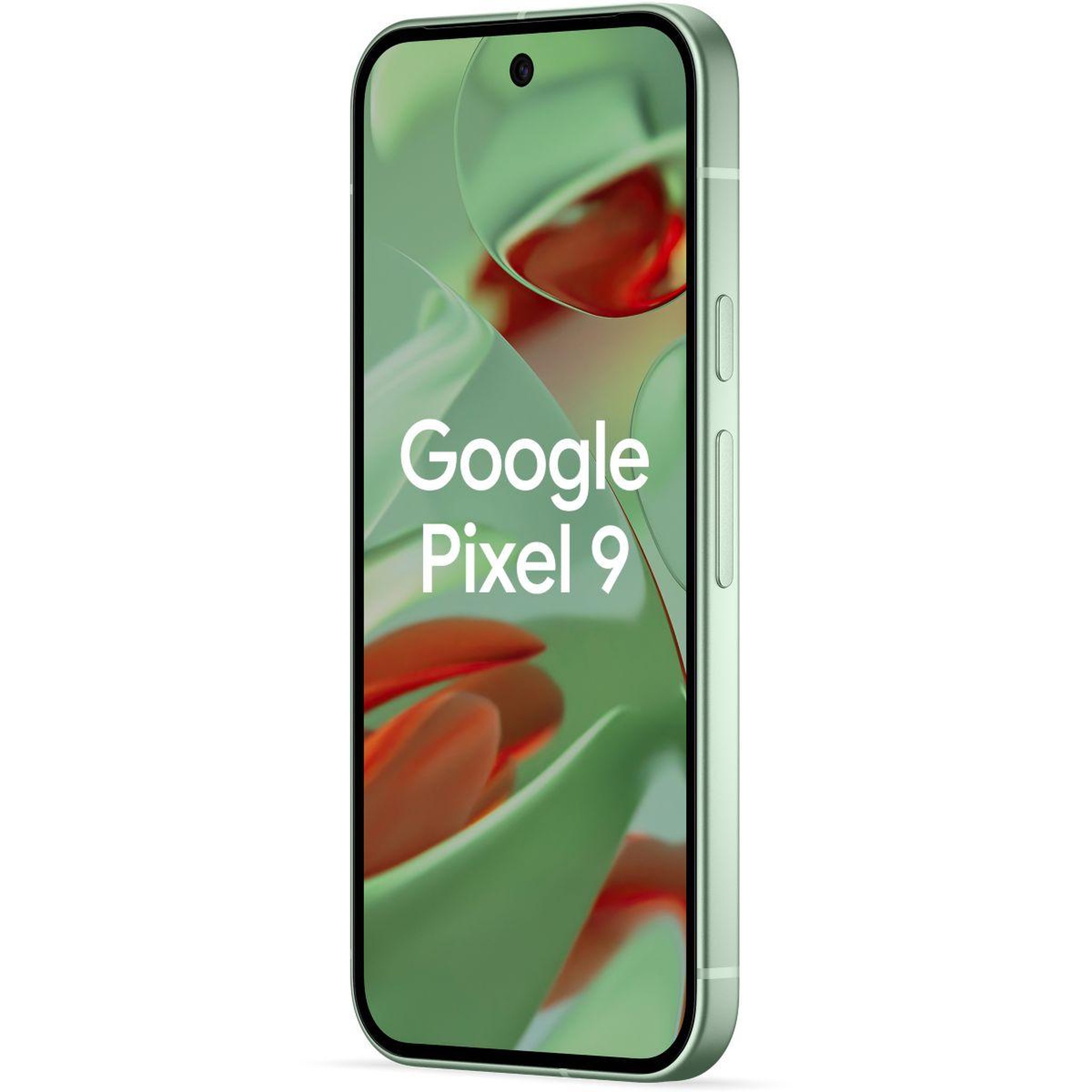 Voir la diapositive 3 : GOOGLE Smartphone Pixel 9 Vert Amande 256Go