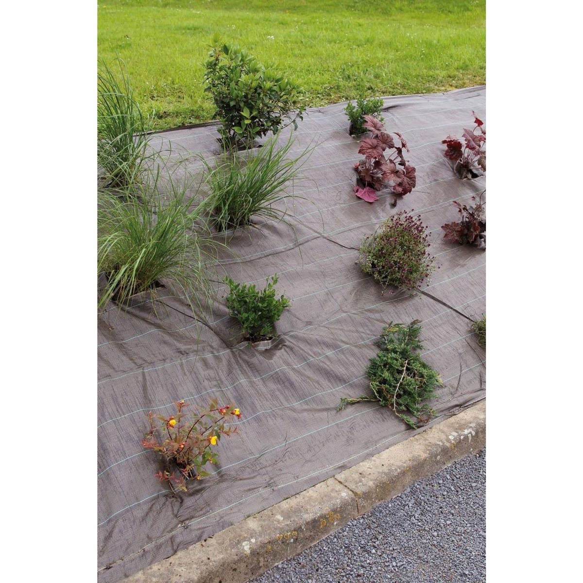 Nortene Toile de paillage tissée  Weedsol  1,25 x 25 m - Marron