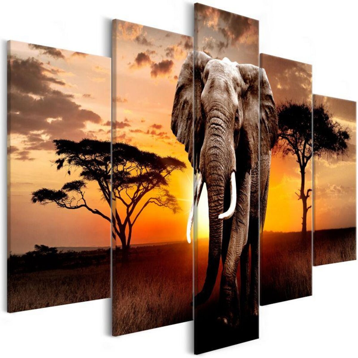 Paris Prix Tableau Imprimé  Wandering Elephant 5 Panneaux Wide  100x225cm
