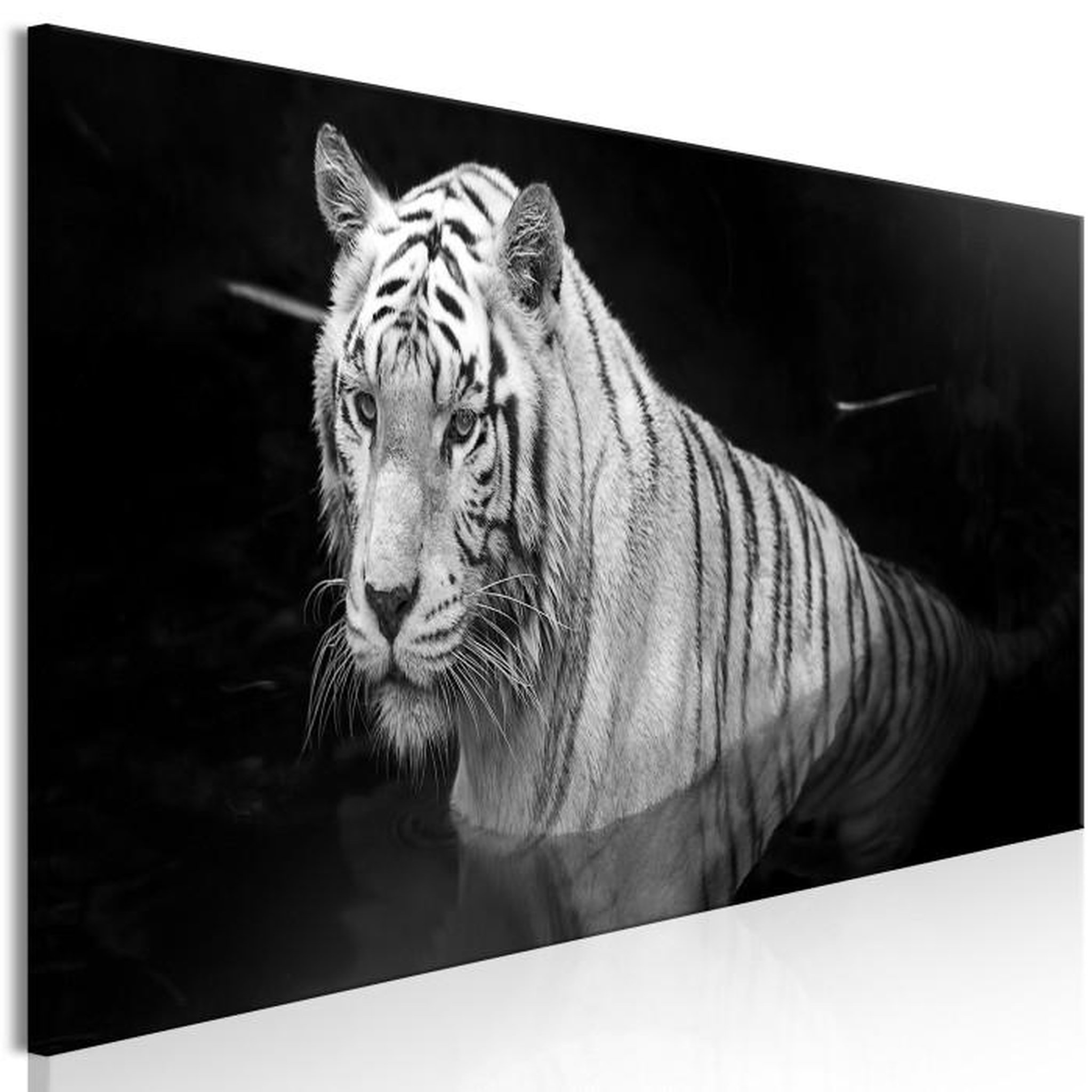 Paris Prix Tableau  Shining Tiger Black & White Narrow. Coloris disponibles : Multicolore