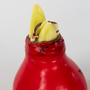 Voir la diapositive 3 : PLANT IN A BOX Amaryllis - Hippeastrum 'Wax Red' - Bulbe de fleur - Rouge