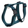 Voir la diapositive 1 : Paris Prix Harnais Réglable Chien  Essentiel  35-50cm Émeraude
