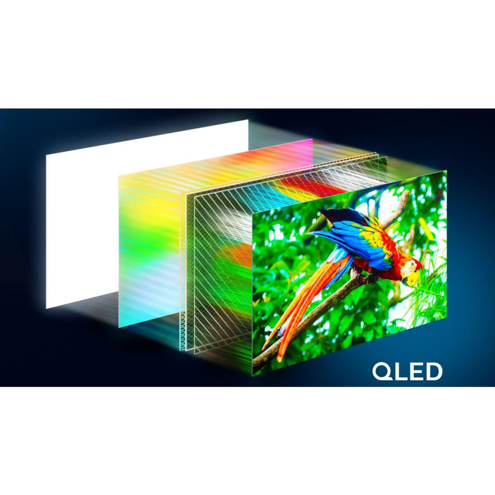 Voir la diapositive 5 : Philips TV QLED 55PUS8550 2025 - 55 pouces ( 139 cm )