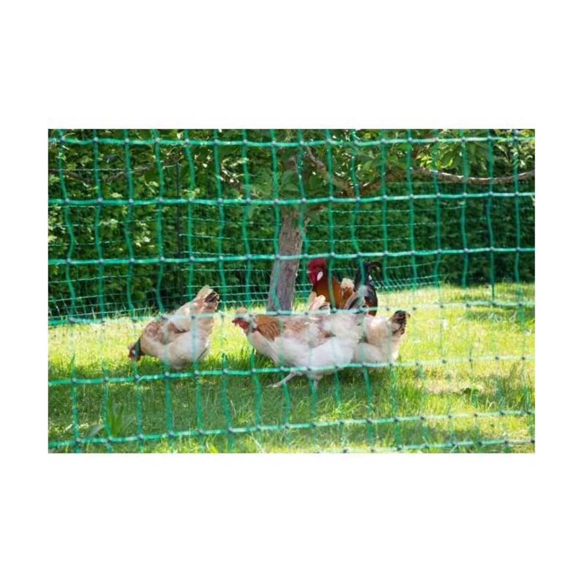 KERBL KERBL Filet pour les poules 50 m - 106 cm - double pointe - vert - non électrique