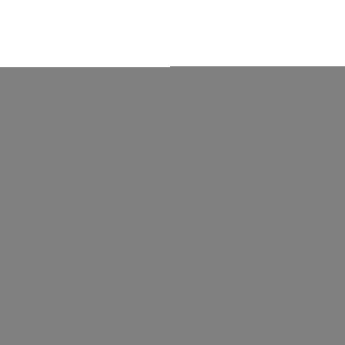 ESSCHERT DESIGN Esschert Design Brouette pliable Vert GT138