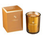 Voir la diapositive 1 : Paris Prix Bougie Parfumée  Excellent  12cm Golden Honey Ocre