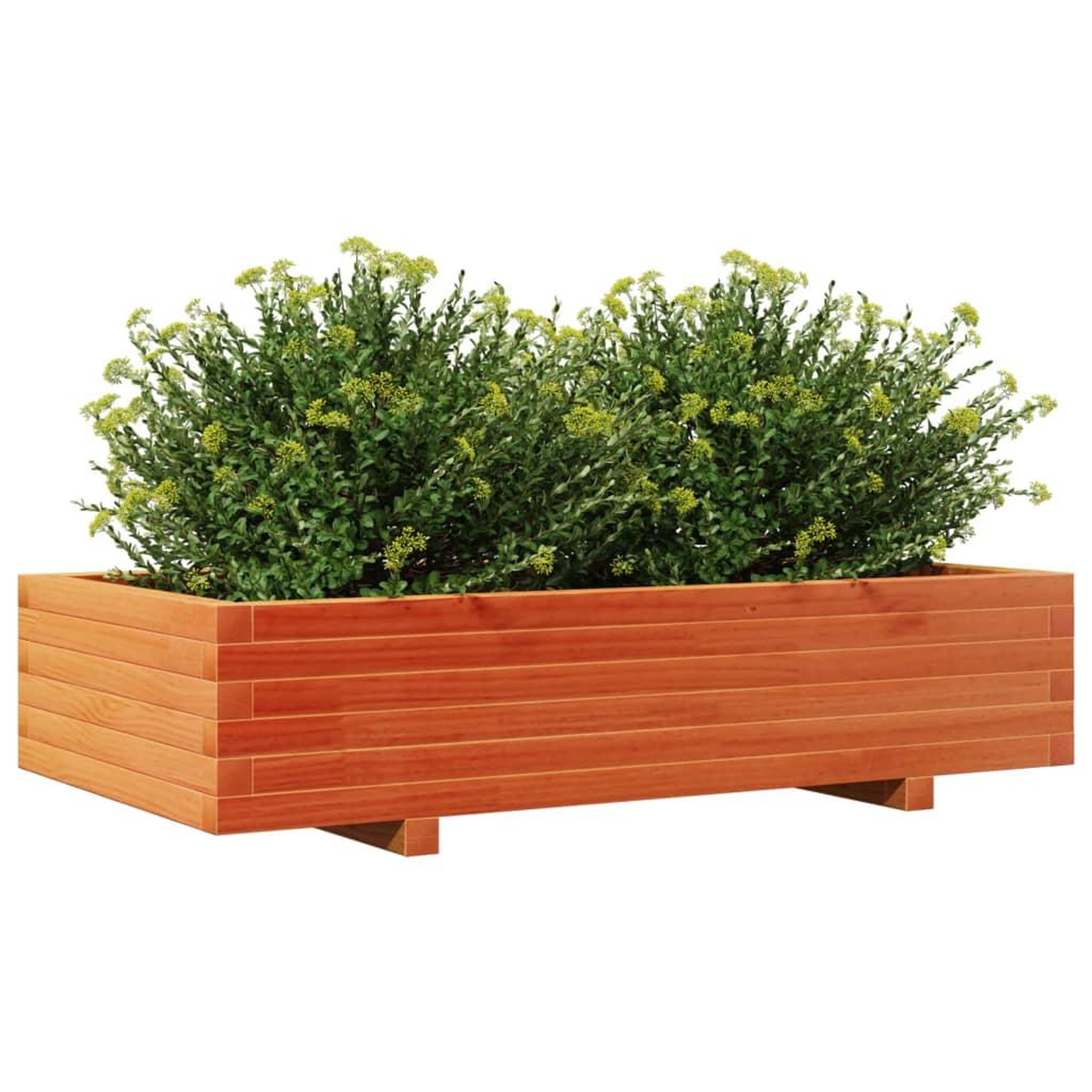Voir la diapositive 4 : VIDAXL Jardiniere cire marron 110x60x26,5 cm bois de pin massif