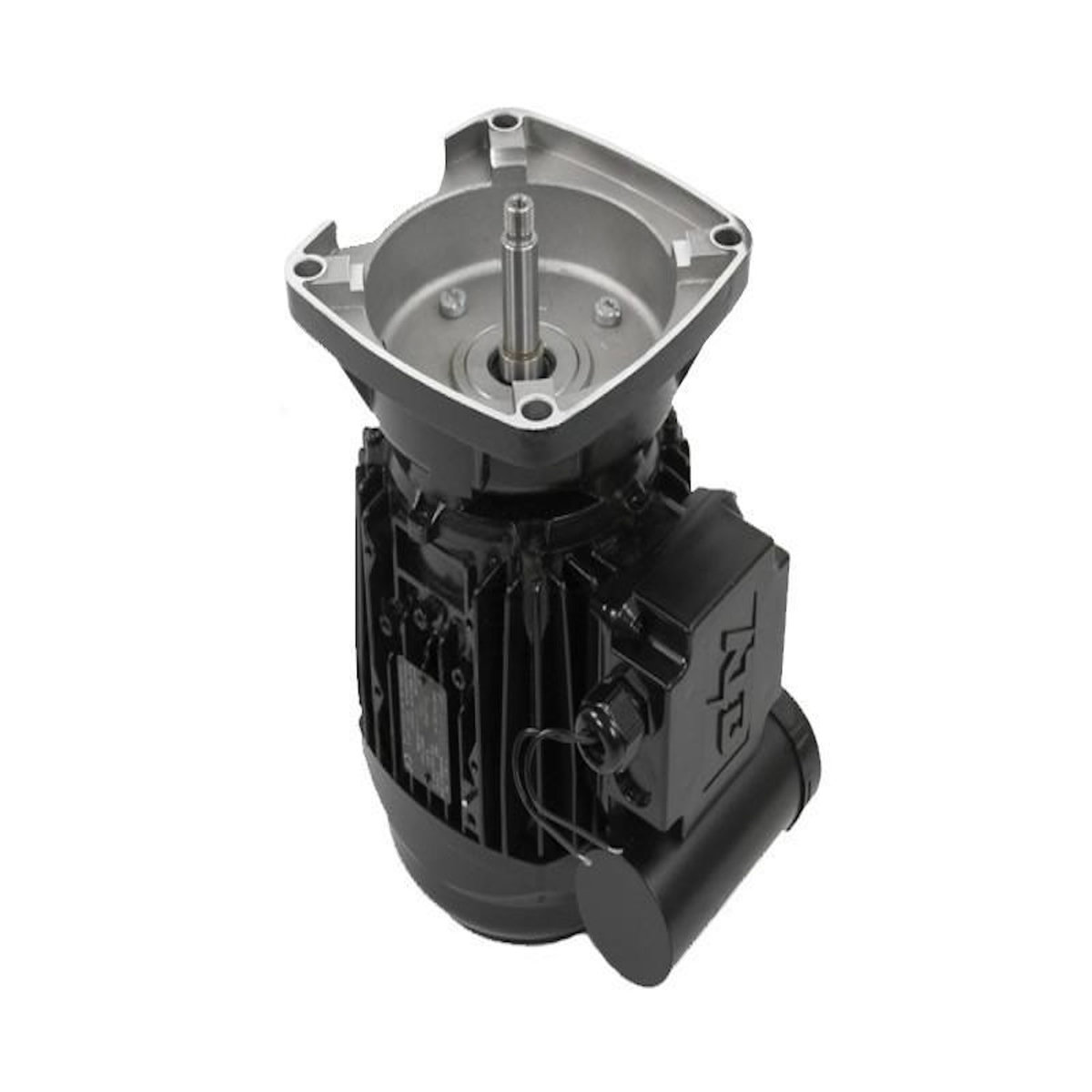 Pentair Moteur pour pompes La Sta-Rite 1 CV Tri - Pentair