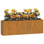 Voir la diapositive 3 : VIDAXL Jardinieres murales 2 pcs Rouille Acier corten 53x10x17 cm