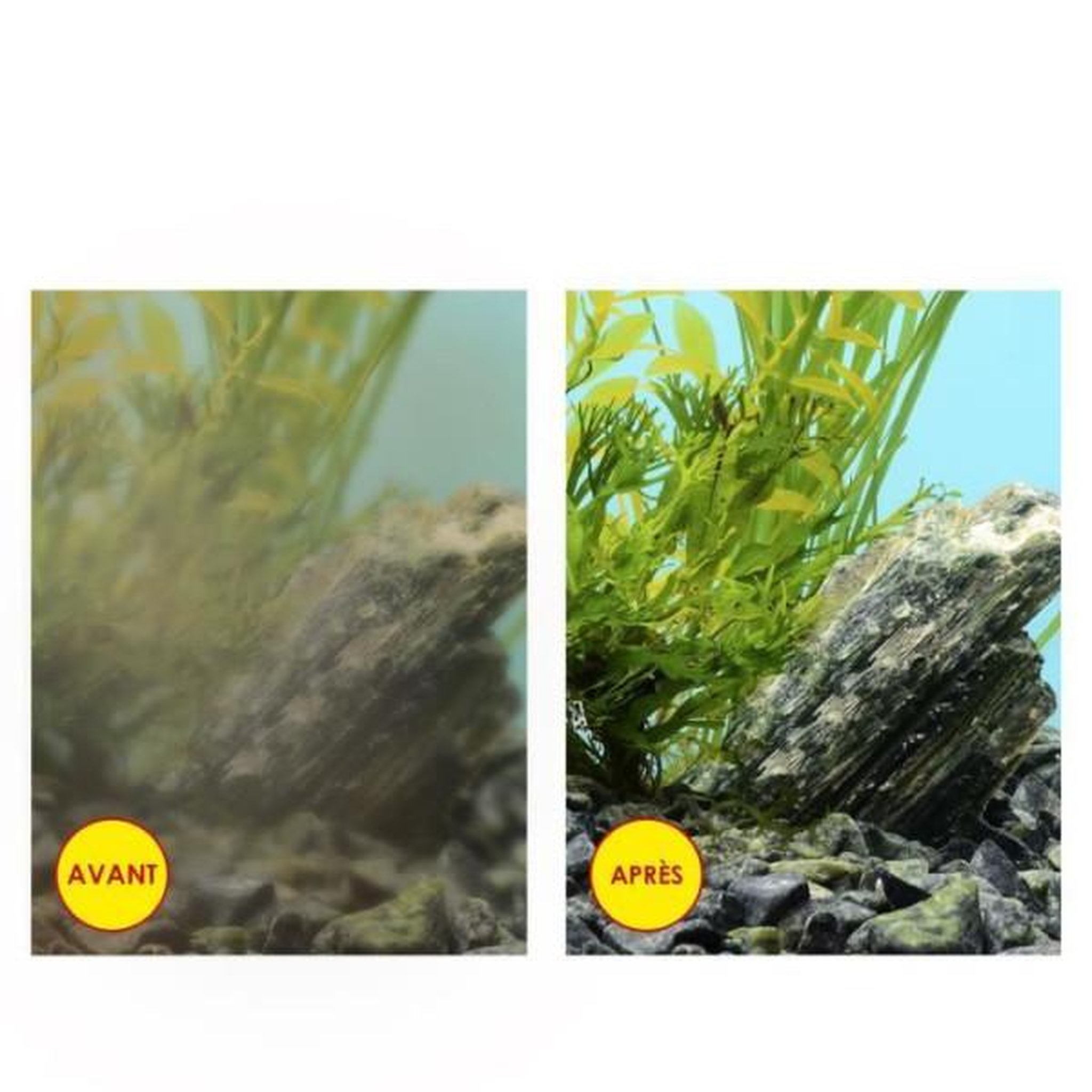 Voir la diapositive 4 : N/A CIANO, Aquarium Consommables - Cartouches de Filtration de Rechange pour Filtre d'Aquarium- Pack 3 mois, Taille L - Eau Cristall