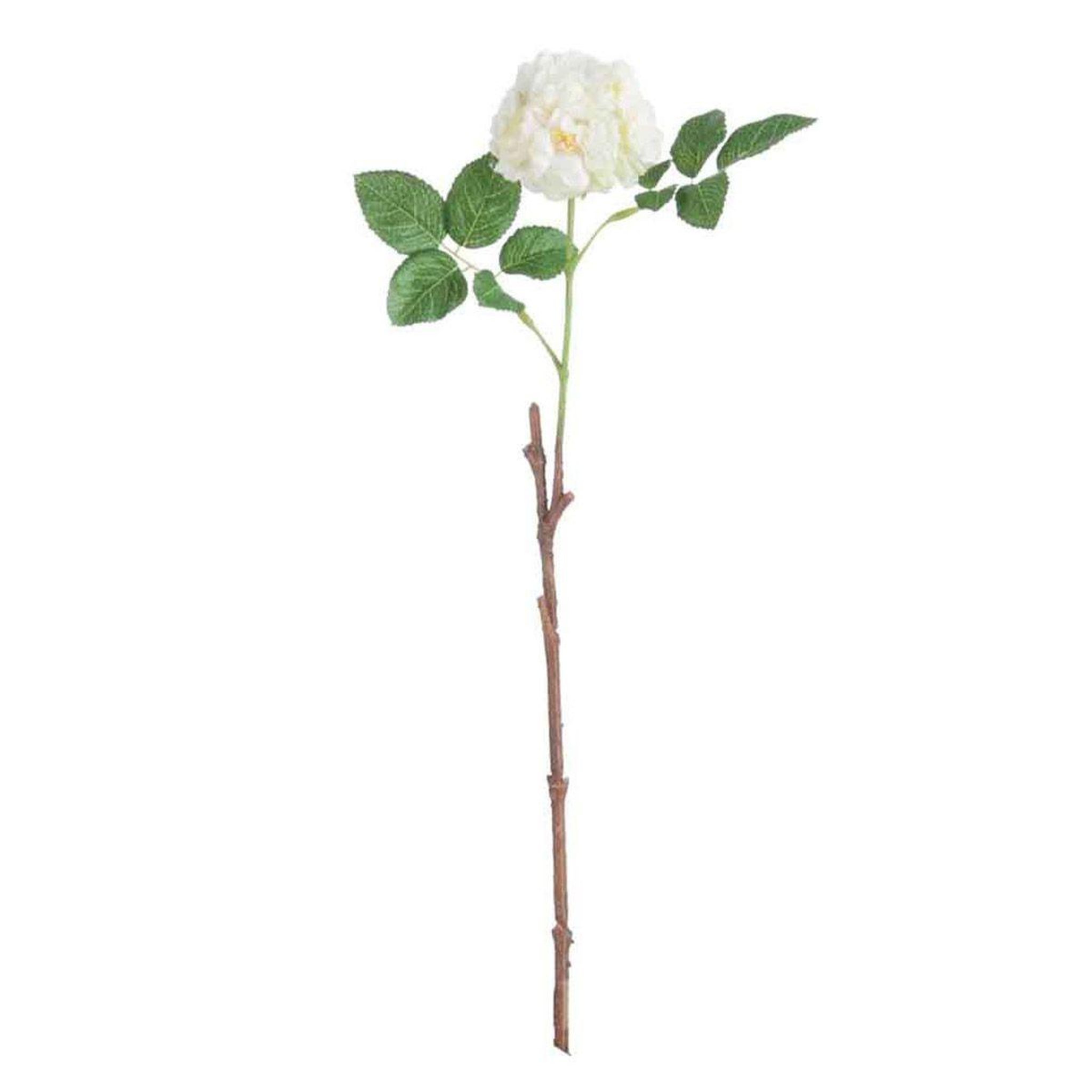 J-LINE Fleur Artificielle  Rose Sauvage  45cm Blanc
