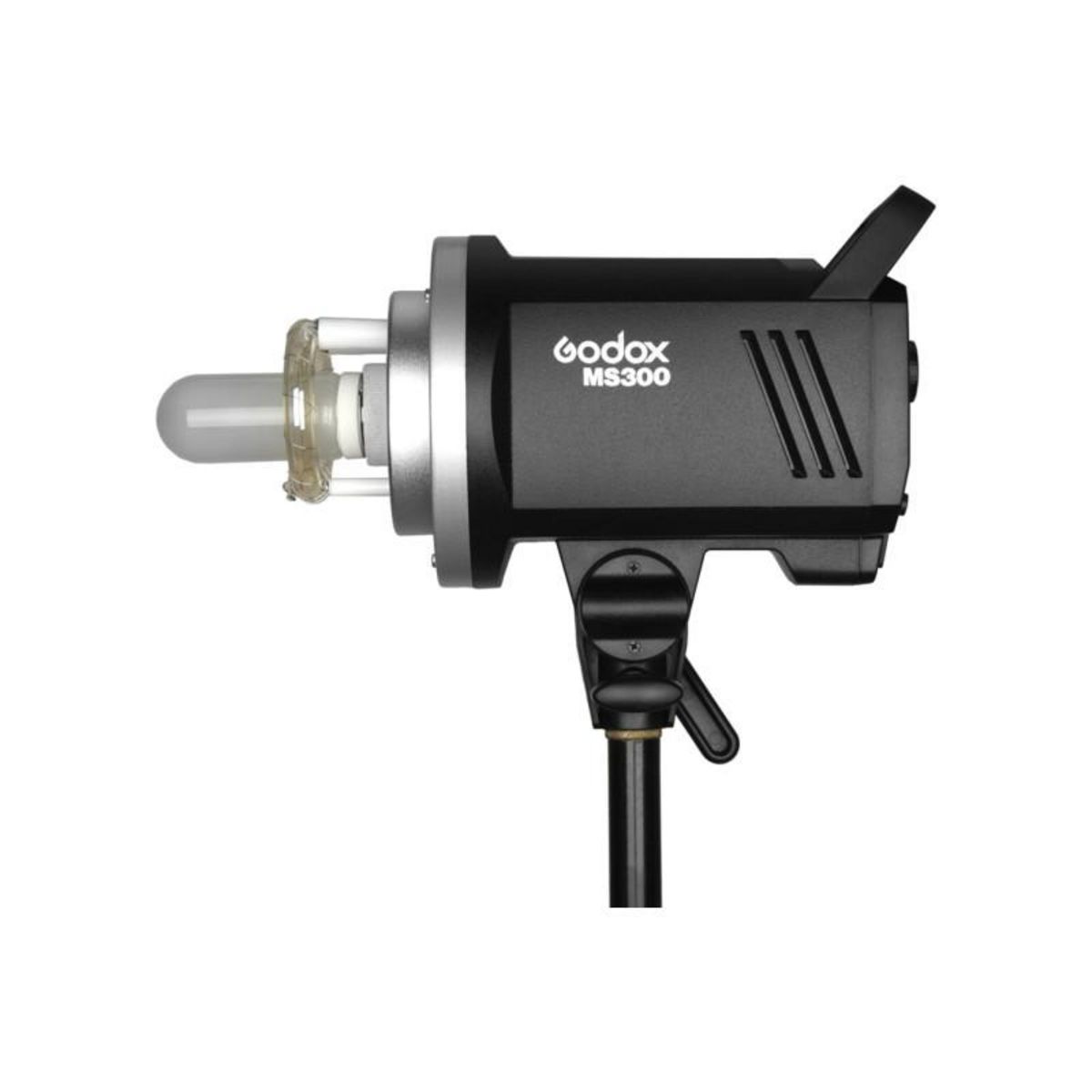 Godox Flash Godox MS300 Studio flash