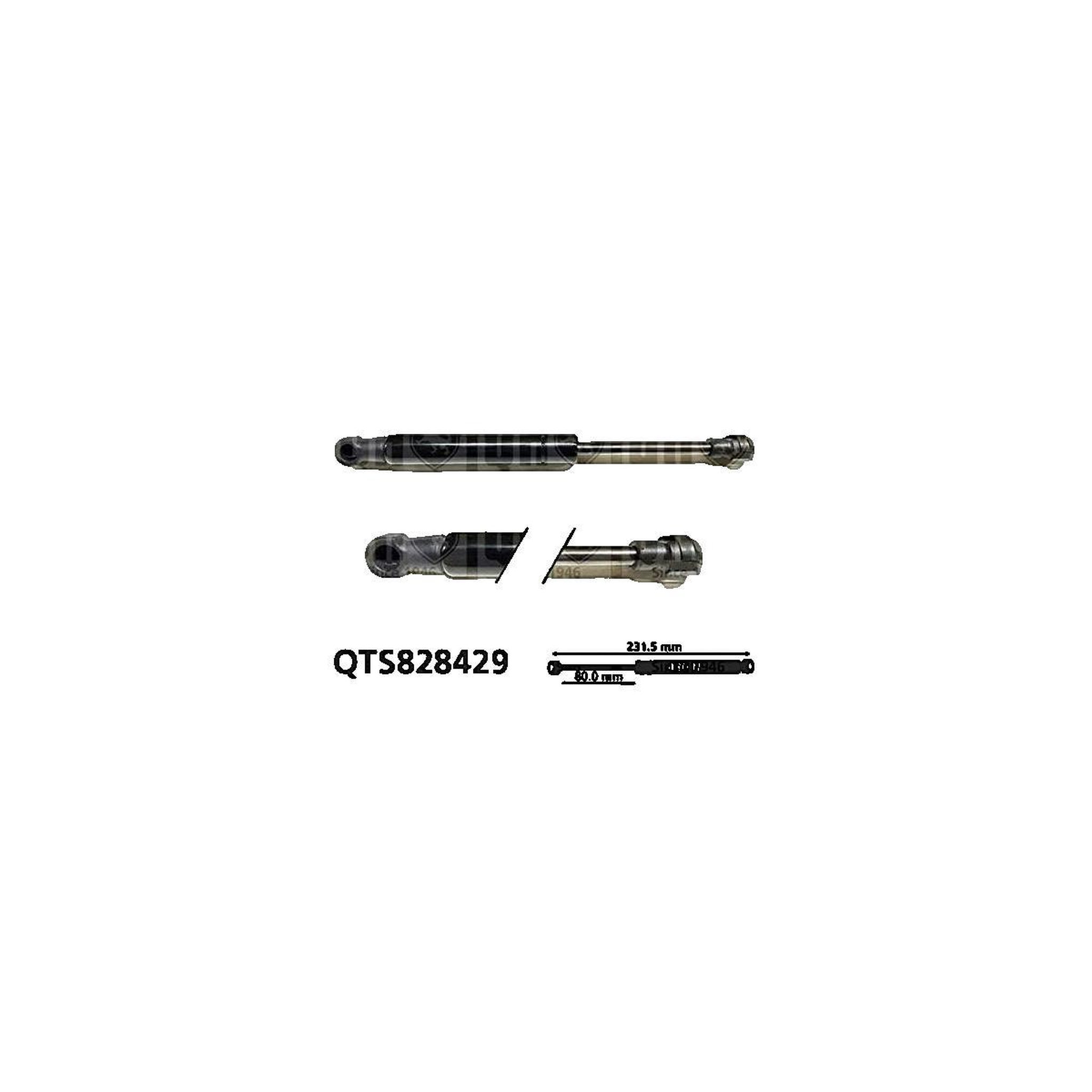 Ricoh Cartouche de toner Ricoh cyan 828429