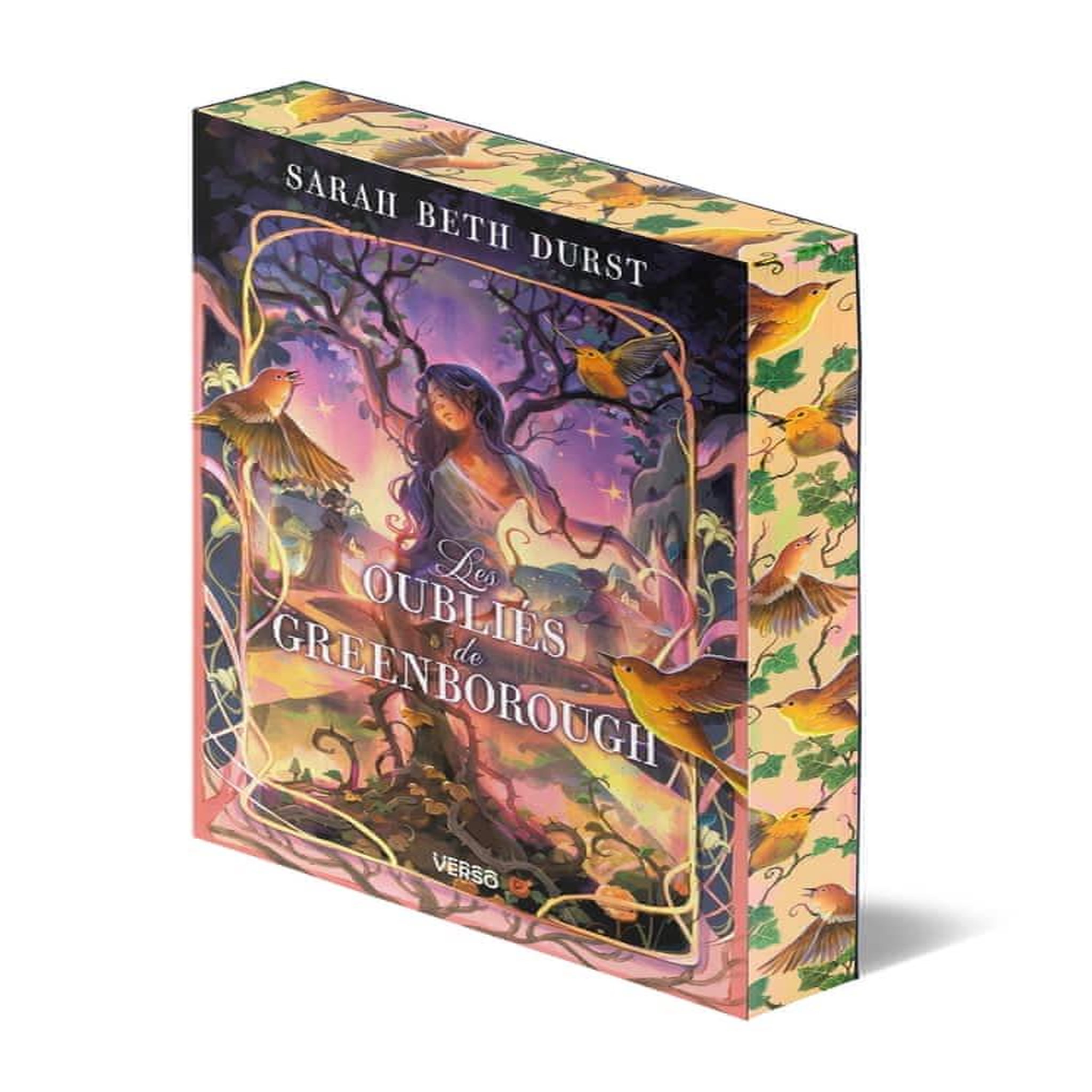 LES OUBLIES DE GREENBOROUGH, Durst Sarah Beth