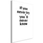 Voir la diapositive 1 : Paris Prix Tableau Imprimé  If You Never Try You'll Never Know