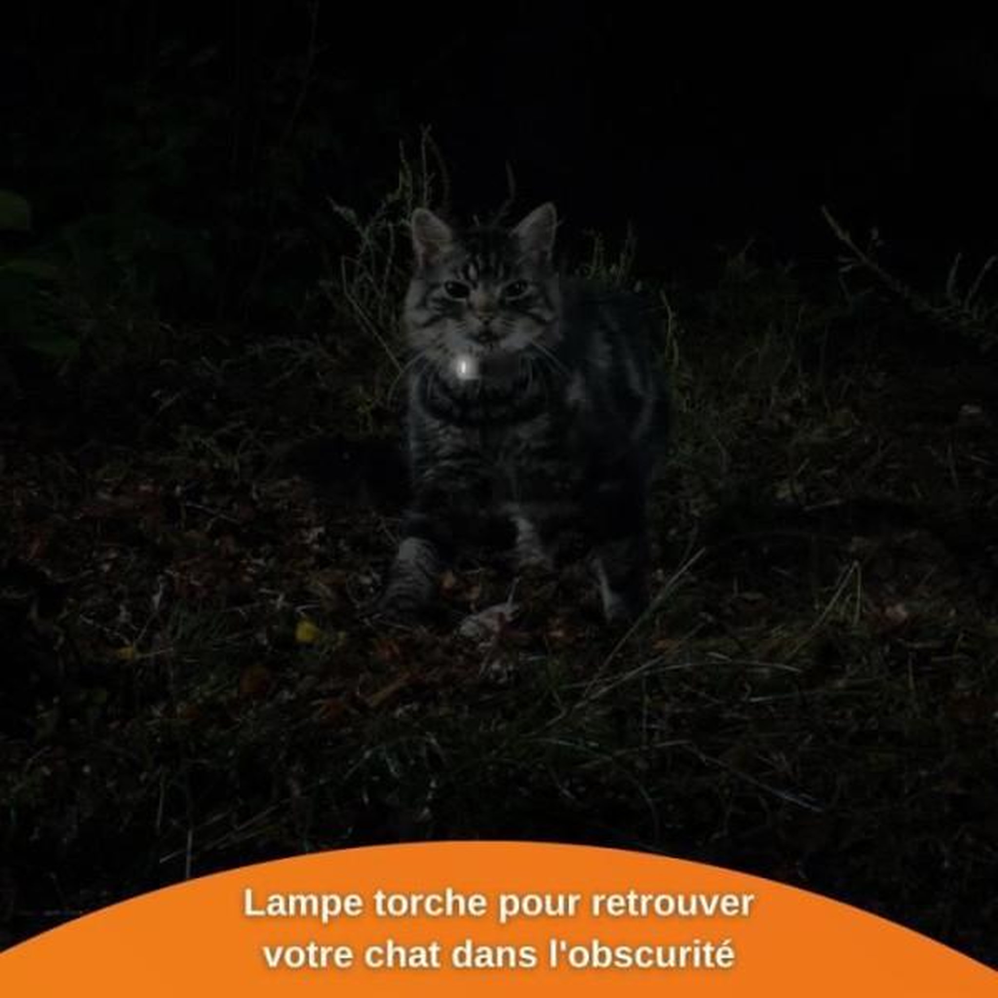 Voir la diapositive 5 : WEENECT Traceur GPS pour Chat - Weenect XS (White Edition 2023)