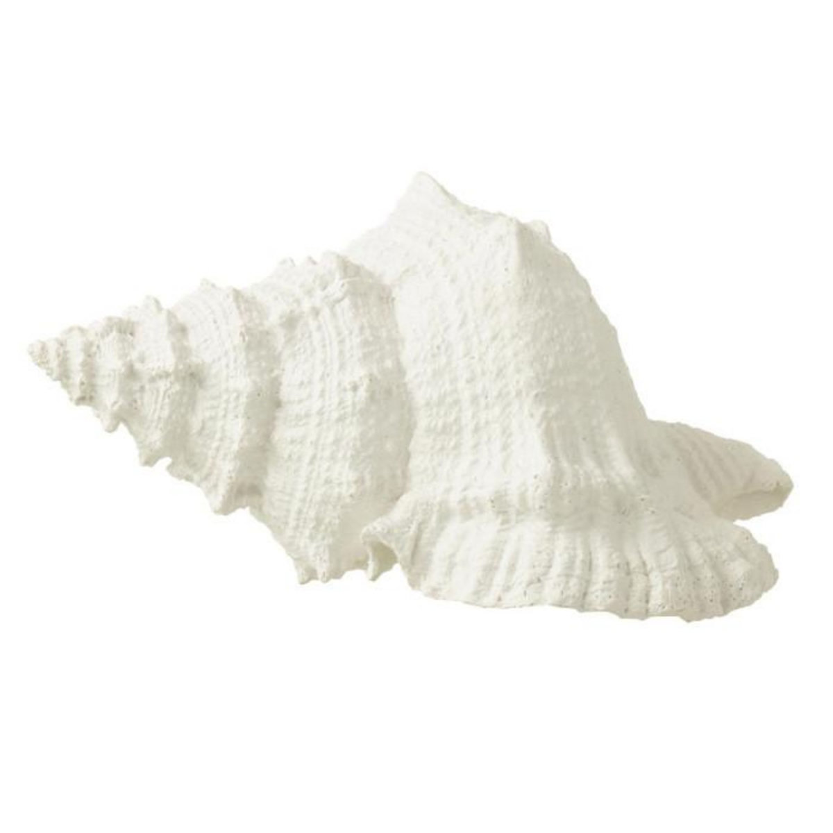 Paris Prix Coquillage Déco  Evasion  25cm Blanc