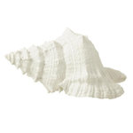 Paris Prix Coquillage Déco  Evasion  25cm Blanc