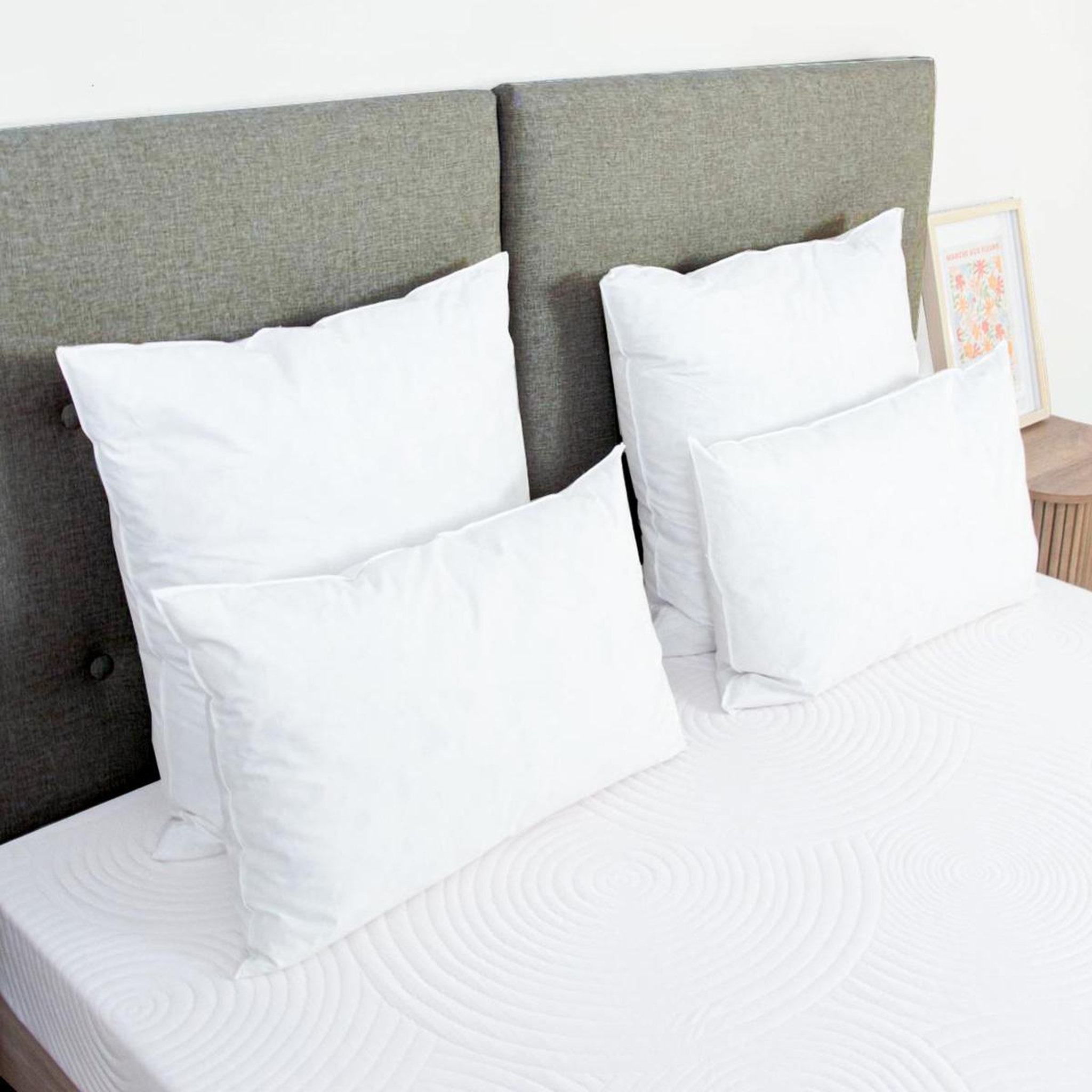 Voir la diapositive 2 : BELLECOUR Bellecour literie | oreiller chambord | duvet & plumes