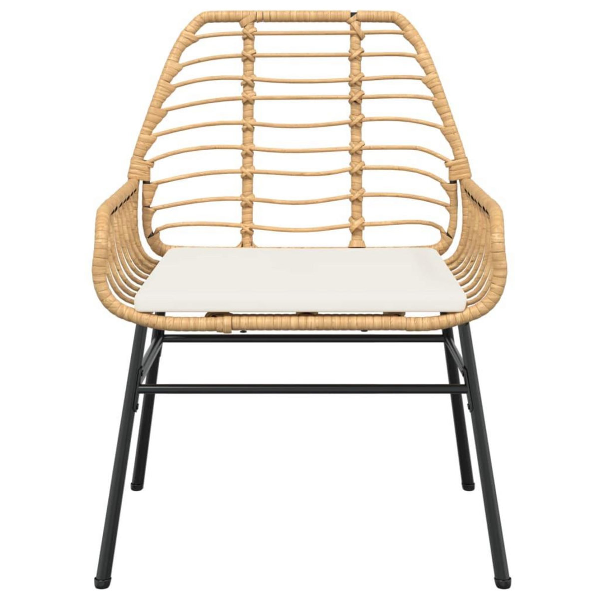 VIDAXL Chaises de jardin lot de 2 et coussins marron rotin