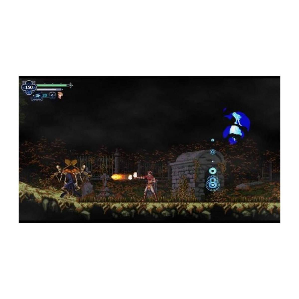 Just for games Chronicles of the Wolf - Jeu Nintendo Switch